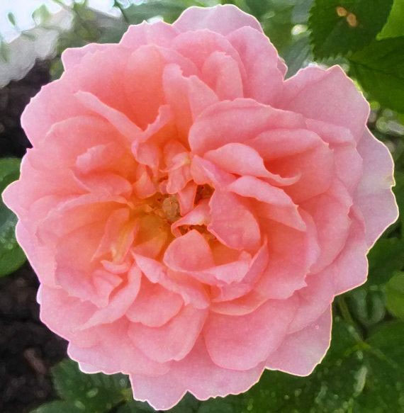 Blaue Gifs Gif Bilder Animierte Gifs Anigifs Seite 2