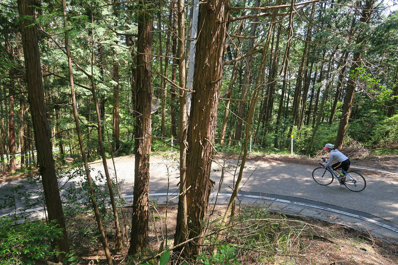 Our Story Bike Tours Japan