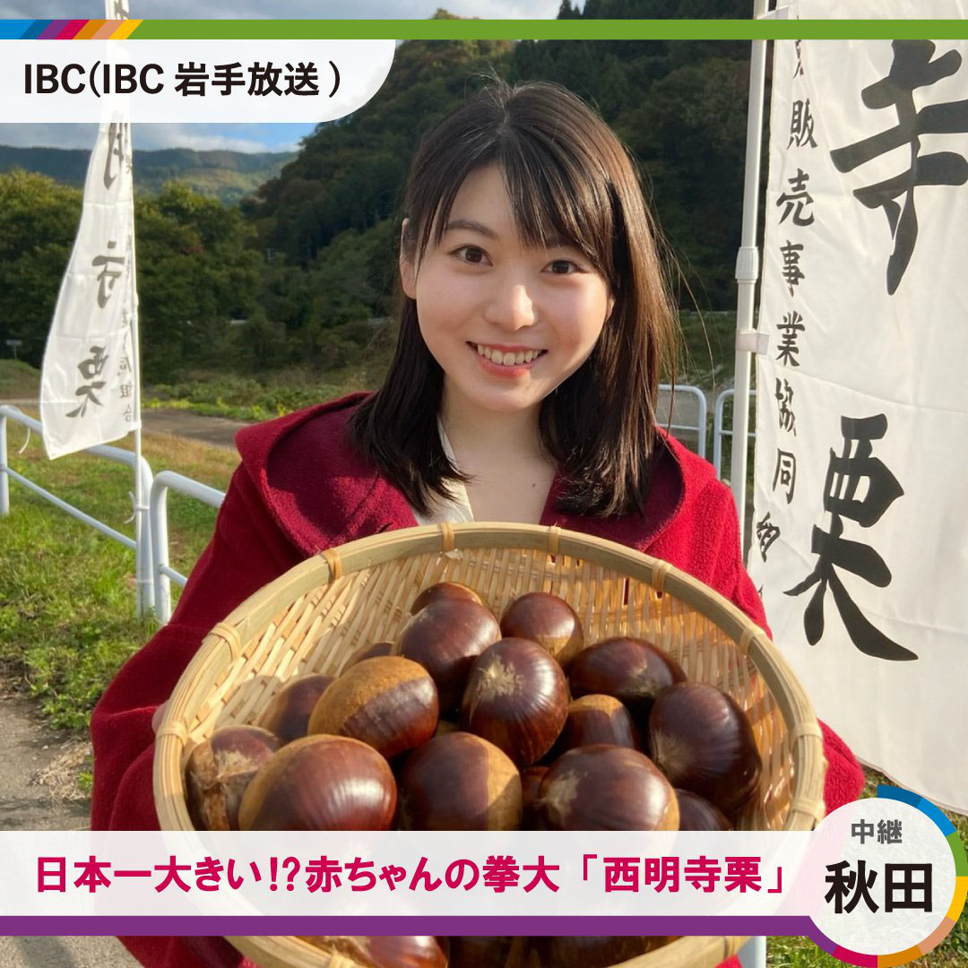 西明寺栗の紹介 ようこそ かたくり館のページへ