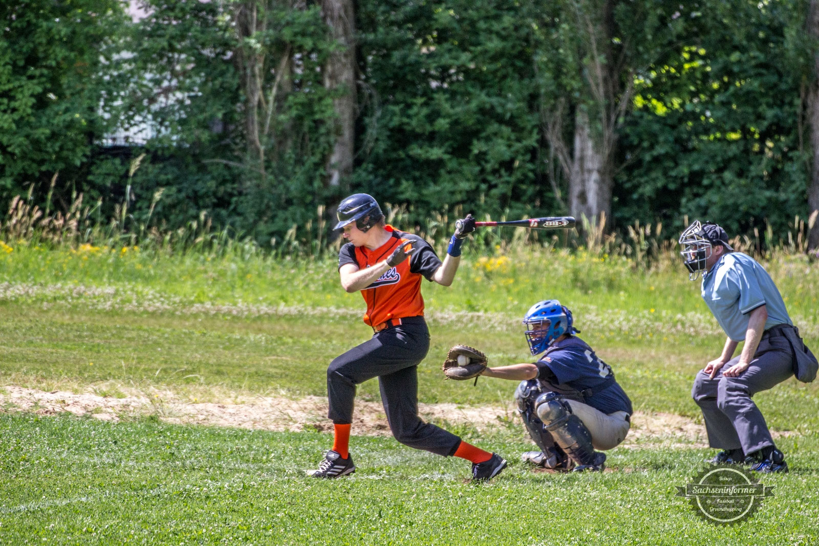 Baseball Cyndicates Chemnitz vs. Dresden Dukes Groundhopping Fotos