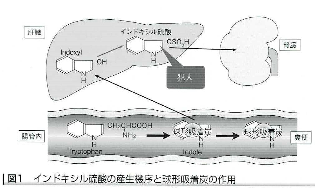 クレメジン®（慢性腎臓病の薬）1