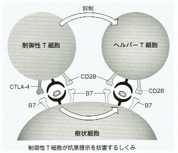 がんと自然治癒力12