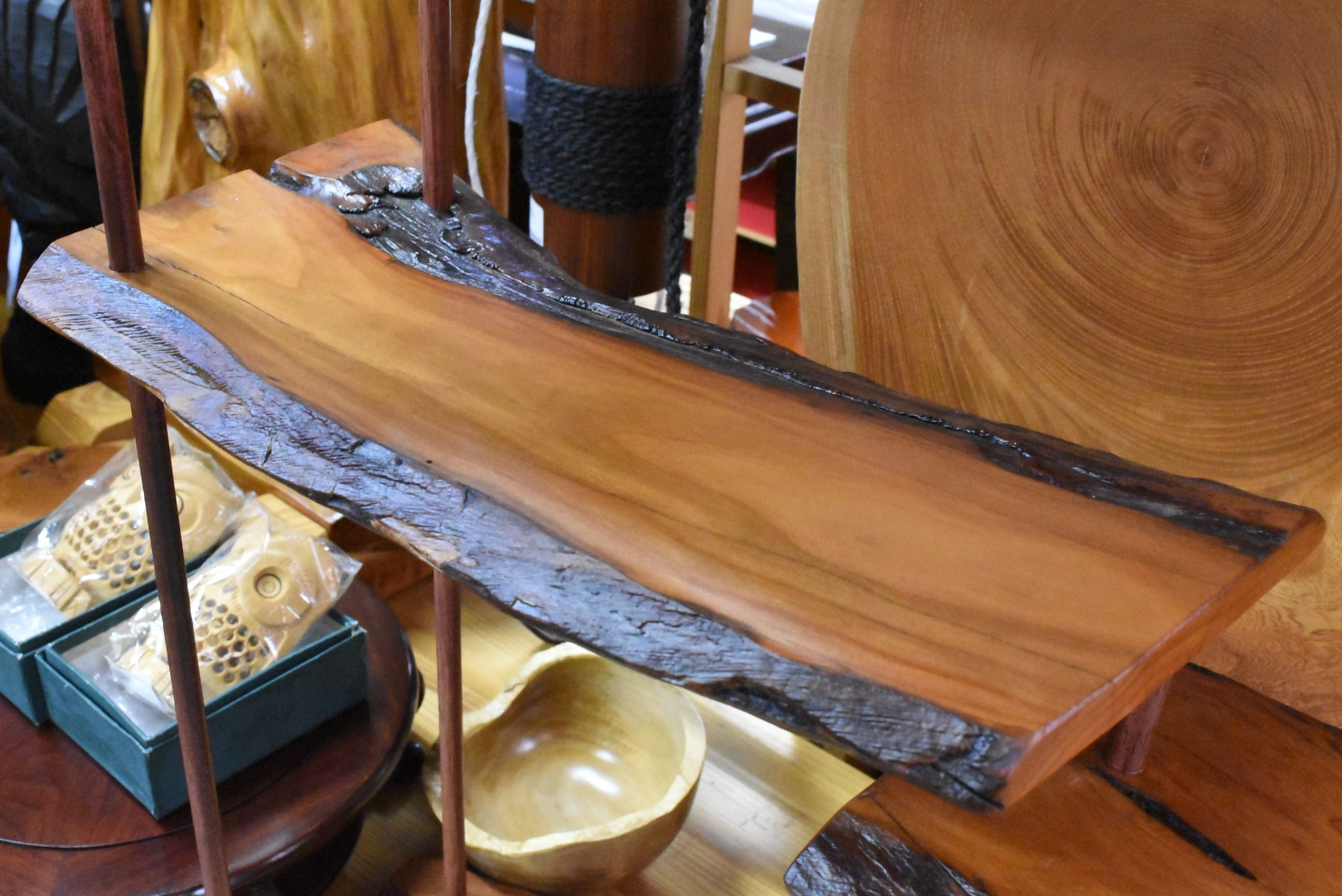 ウメ 梅 庭木図鑑 植木ペディア