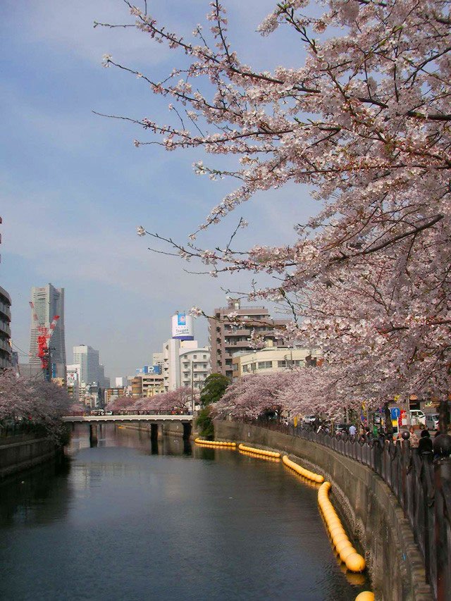 横浜の旅館地図 横浜 格安 昔ながらの和風旅館