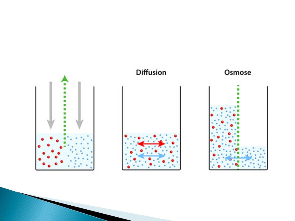 Osmose und Diffusion Schule CvW