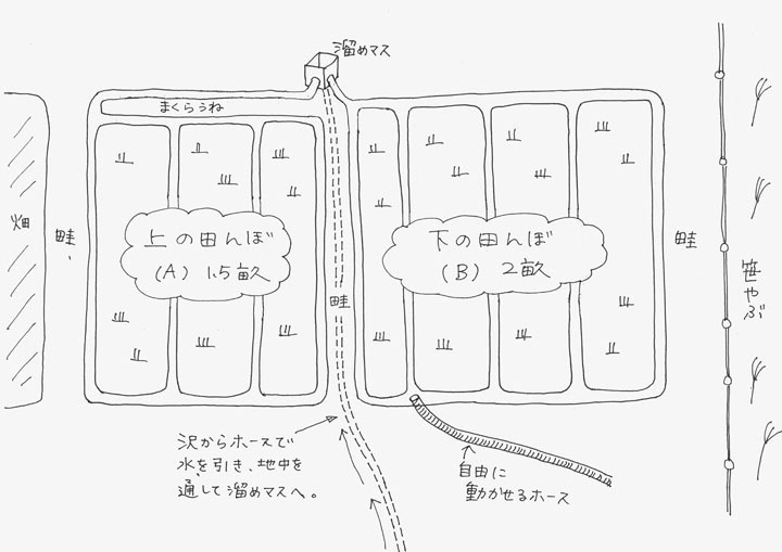 田んぼの水持ちが悪い 水が冷たい 自然農 いのちのことわり 田畑における具体的問題と解決