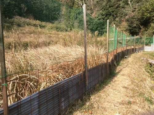 猪 鹿対策 ワイヤーメッシュ獣害防止柵の設置方法 自然農 いのちのことわり 田畑における具体的問題と解決 猪 鹿対策 ワイヤーメッシュ獣害防止柵の設置方法 自然農 いのちのことわり 田畑における具体的問題と解決