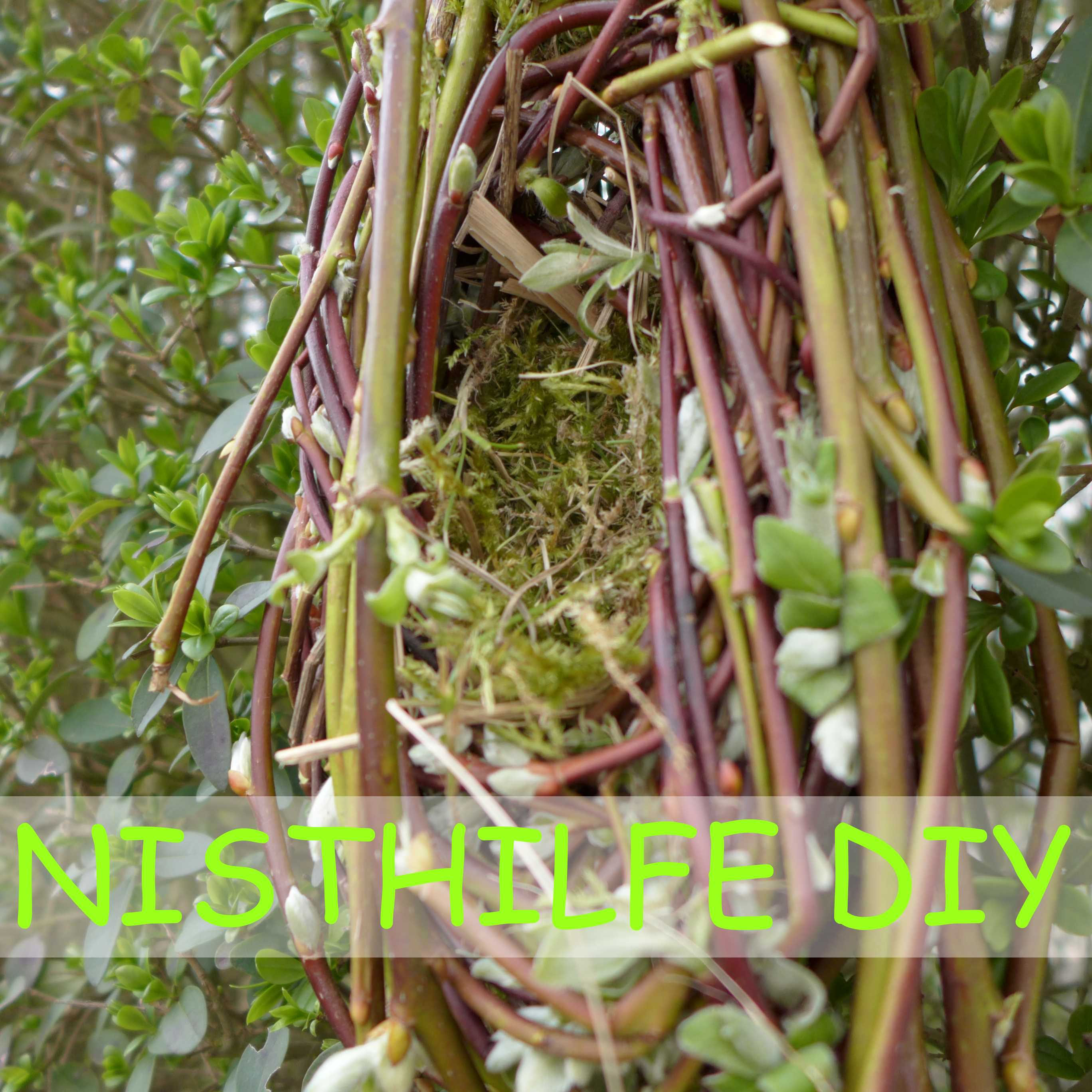 Garten – Nisthilfe oder Vogelnest aus Weide bauen – DIY-Projekt