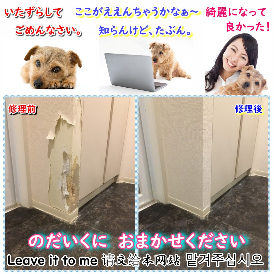 必見 ペットのいたずら壁紙修理 大阪5500円 価値のある壁穴修理 美再生 5500円 実績no 1リピーター続出 必見 ペットのいたずら壁紙修理 大阪5500円 価値のある壁穴修理 美再生 5500円 実績no 1リピーター続出