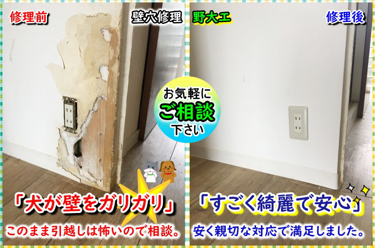 必見 ペットのいたずら壁紙修理 大阪5500円 価値のある壁穴修理 美再生 5500円 実績no 1リピーター続出