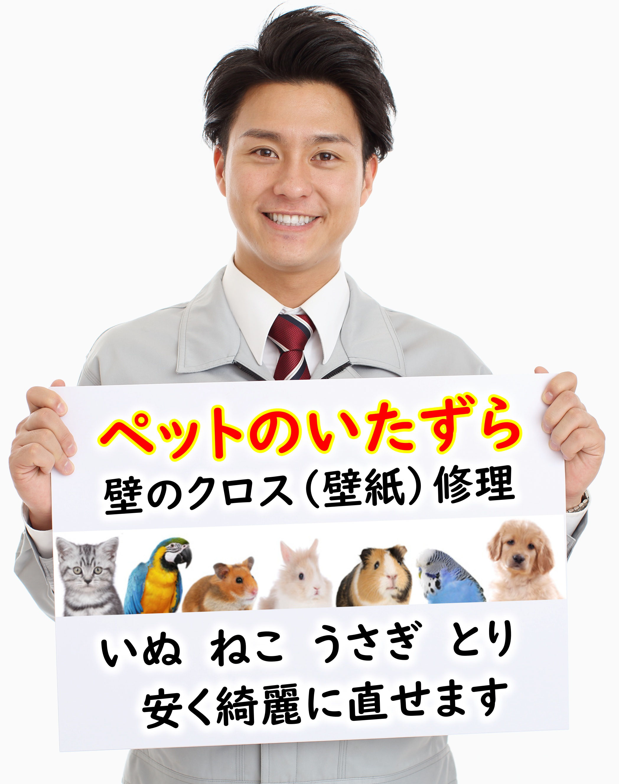必見 ペットのいたずら壁紙修理 大阪5500円 価値のある壁穴修理 美再生 5500円 実績no 1リピーター続出