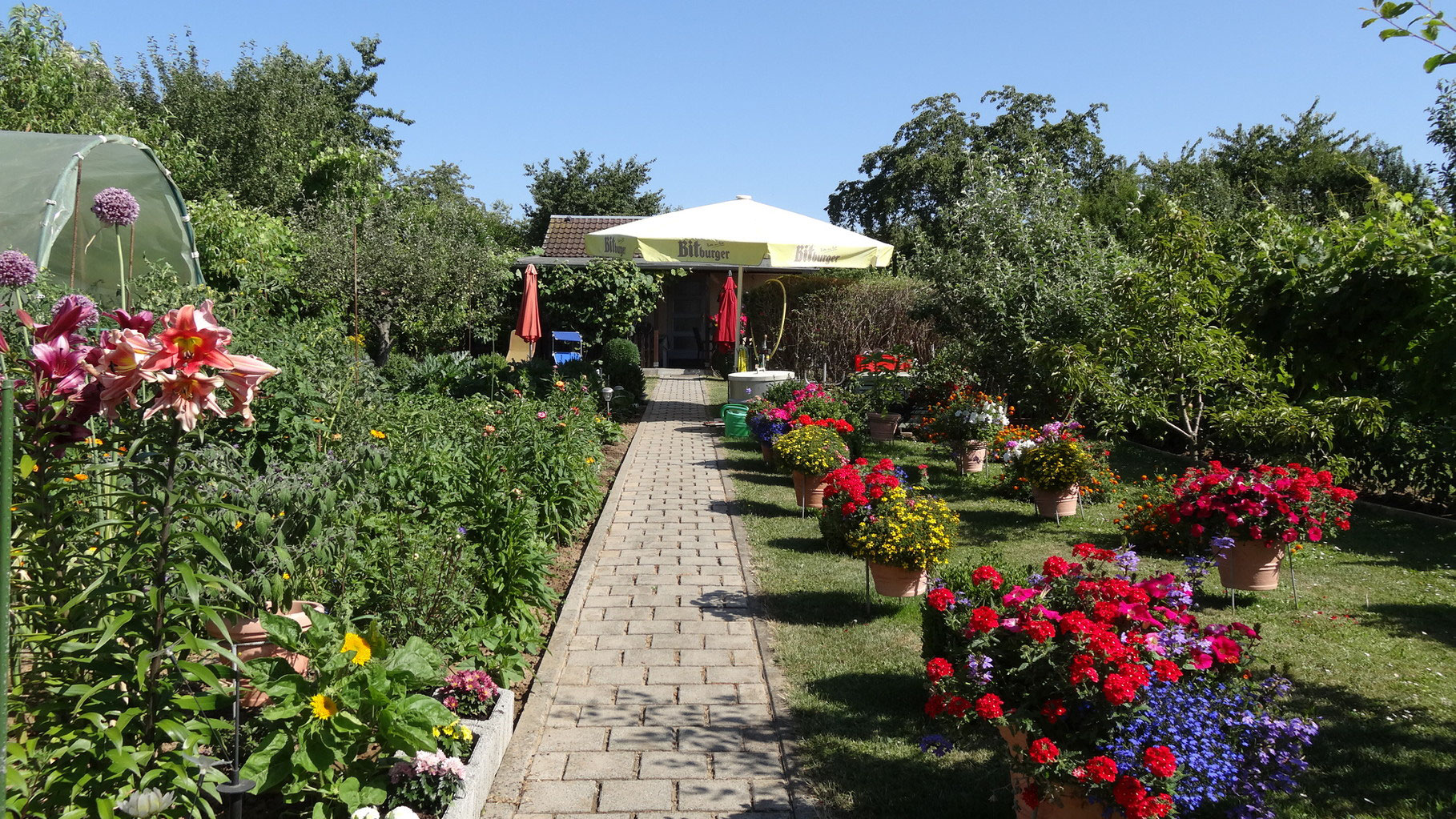 Wir Und Unser Garten Webseite Kgvhinterburg De