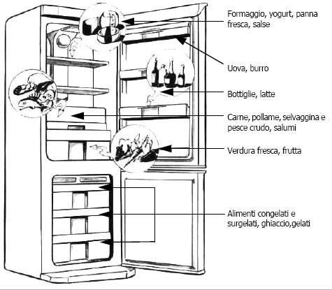 Come Disporre Gli Alimenti In Frigo Chef A Domicilio
