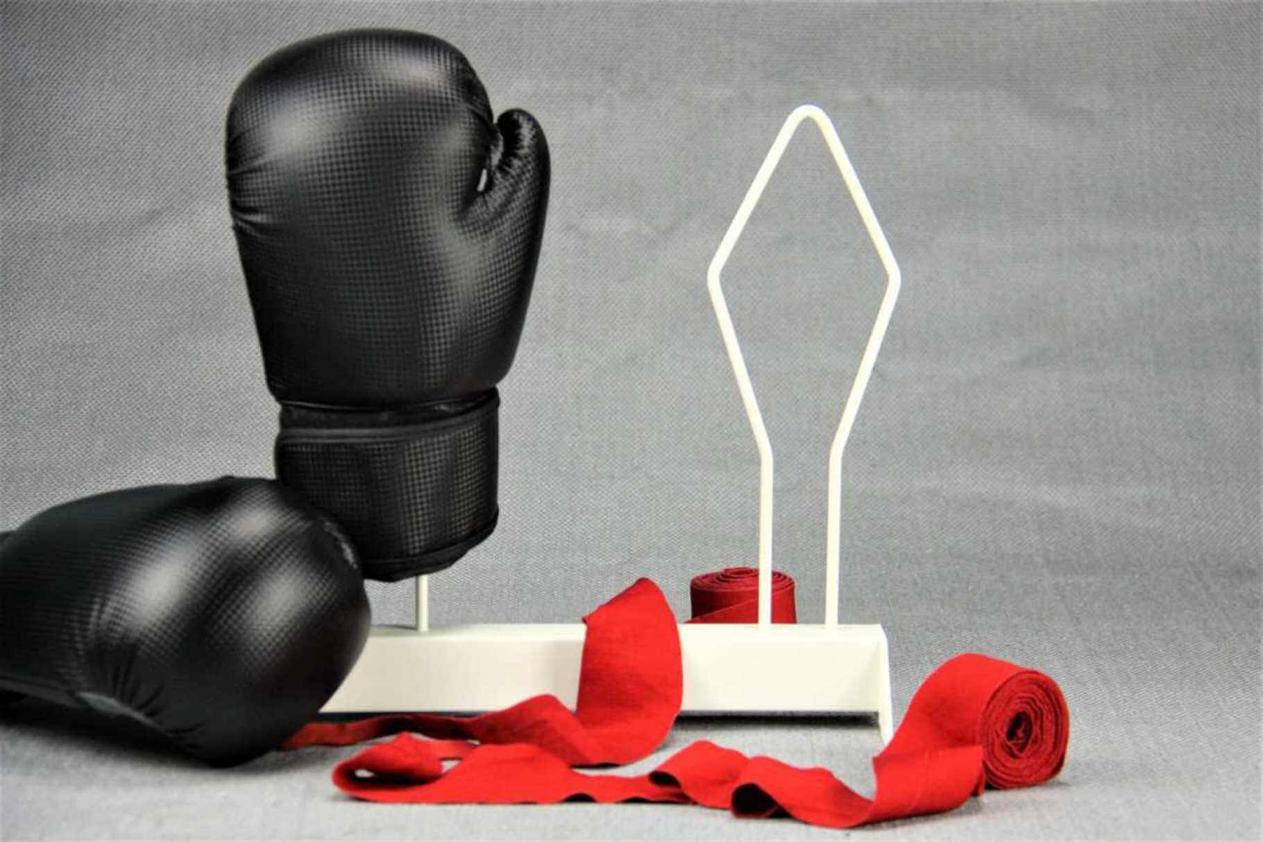 boxing gloves racks