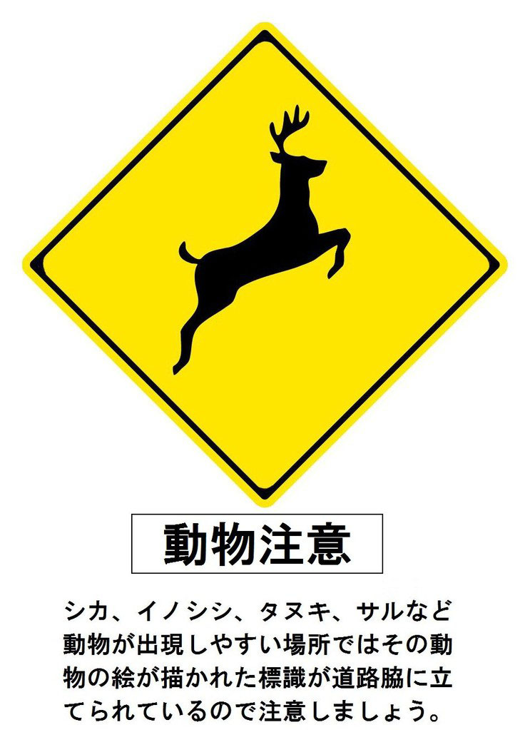 秋は動物の飛出しに注意しましょう 人と車の安全な移動をデザインするシンク出版株式会社