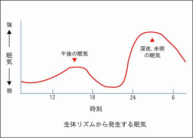 眠気の日内変動２ 生体リズムによる眠気 人と車の安全な移動をデザインするシンク出版株式会社