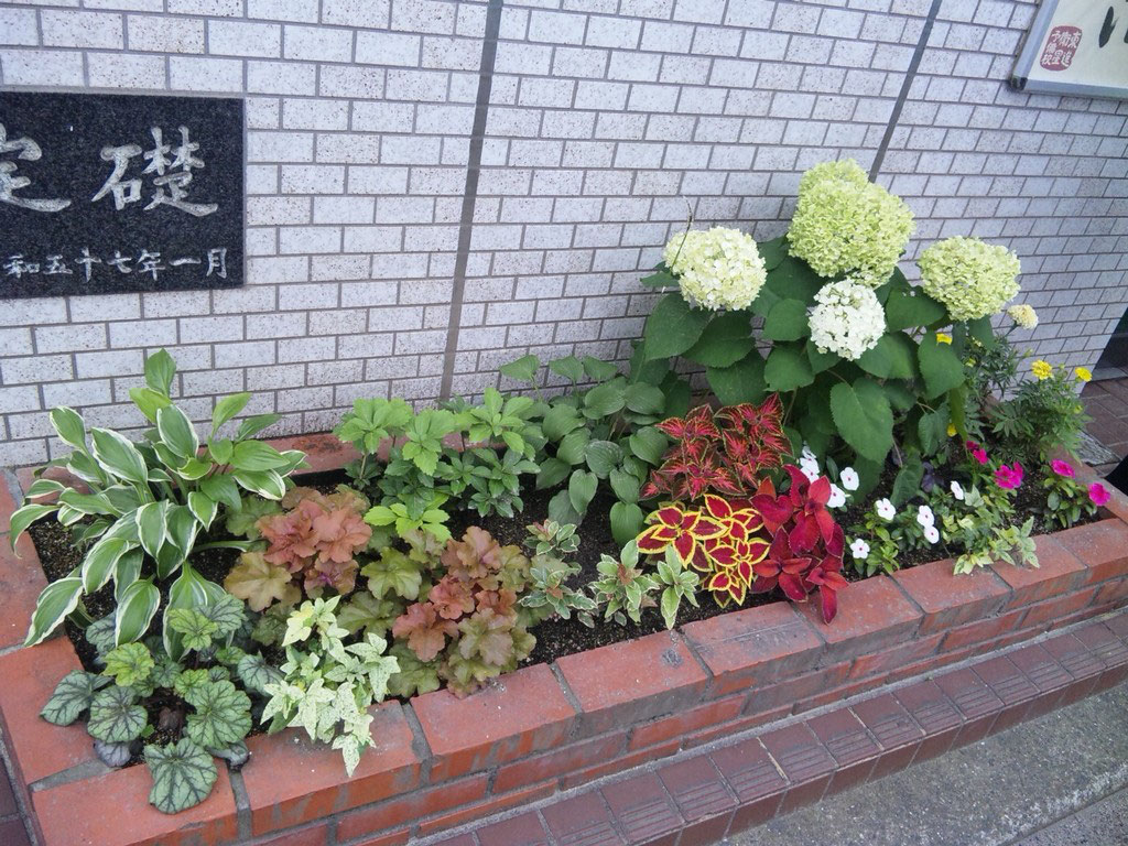 花壇 1年が経過しました ハンギングバスケット 寄せ植えのｋｉｔ 花工房 広島県福山市