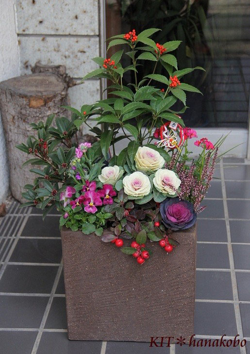 お正月を飾る大鉢の寄せ植え ハンギングバスケット 寄せ植えのｋｉｔ 花工房 広島県福山市