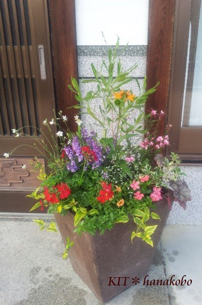 夏の大鉢 こんなのも作りました ハンギングバスケット 寄せ植えのｋｉｔ 花工房 広島県福山市