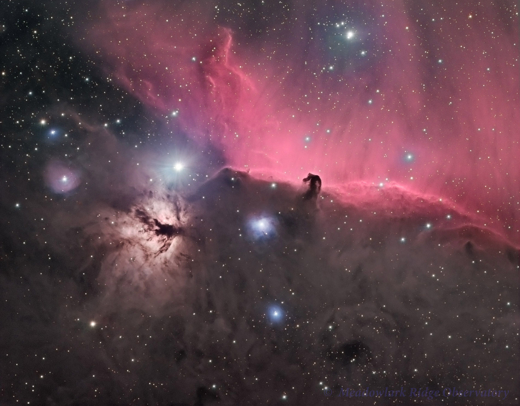 Horsehead Nebula Region Astrophotography