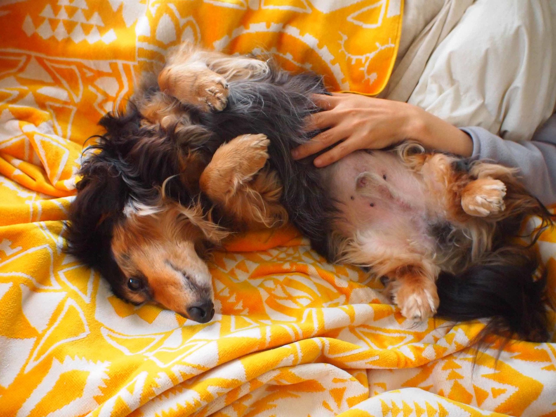 ペンドルトンの大判バスタオル Happy Macaron 手作り石けんのhp ブログ