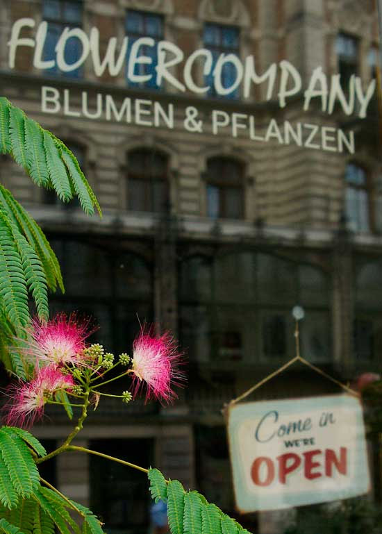 Florist in Vienna, Austria the flower shop