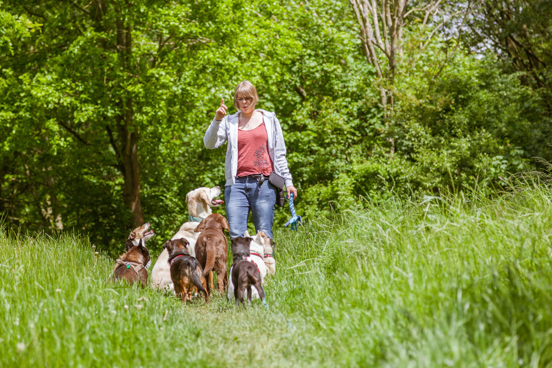 3 Übungen zur Impulskontrolle für deinen Hund Hundetraining Hamburg