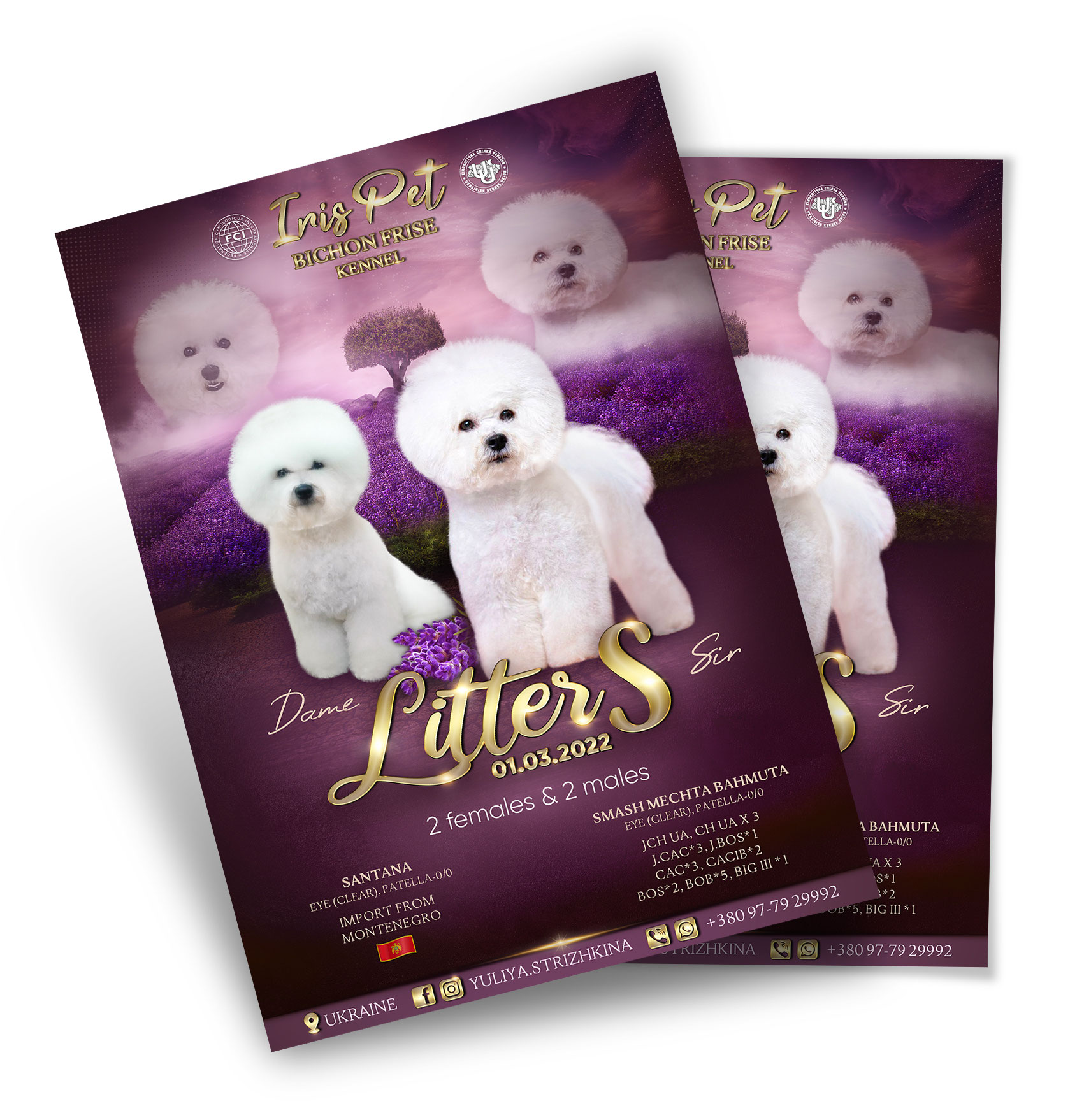 Advertising with animals PR Studio LA BEAUTY