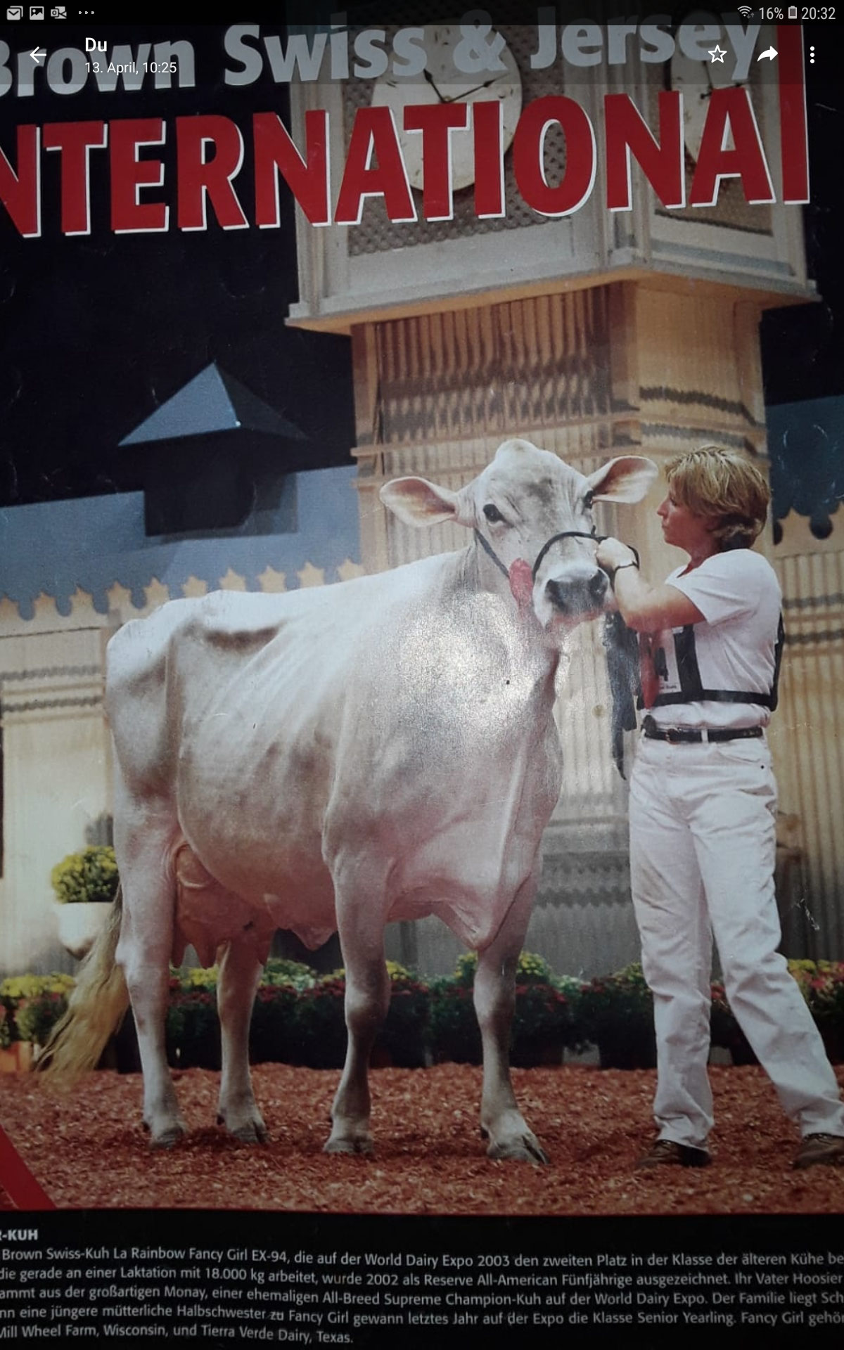 Dynamite langsam wird es ernst zuechterblog Braunvieh Fleckvieh