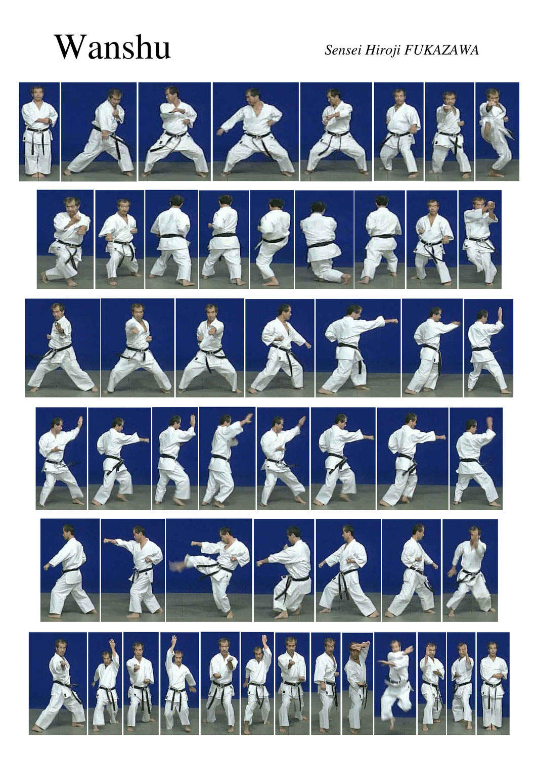 Les Katas du Wado Ryu Karate Wado ryu