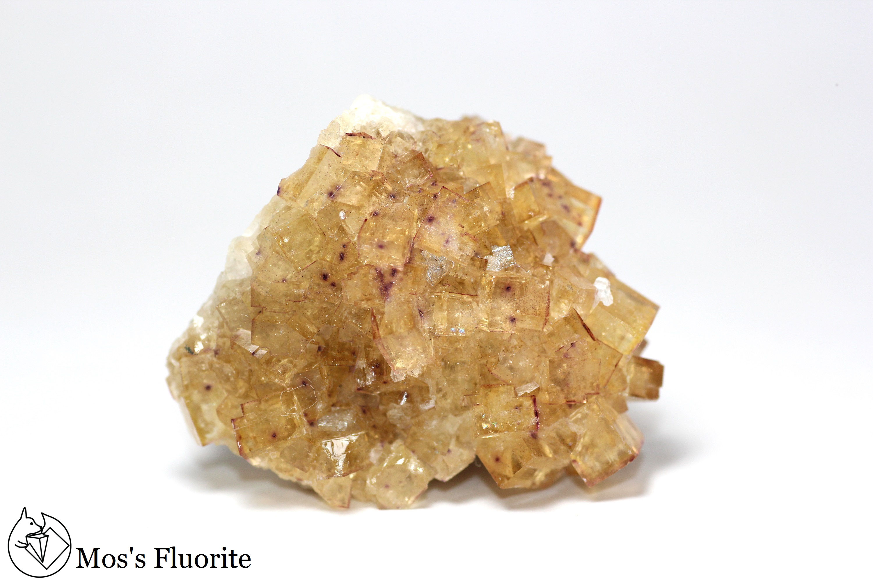 Sturgeon Bay quarry mos's Fluorite