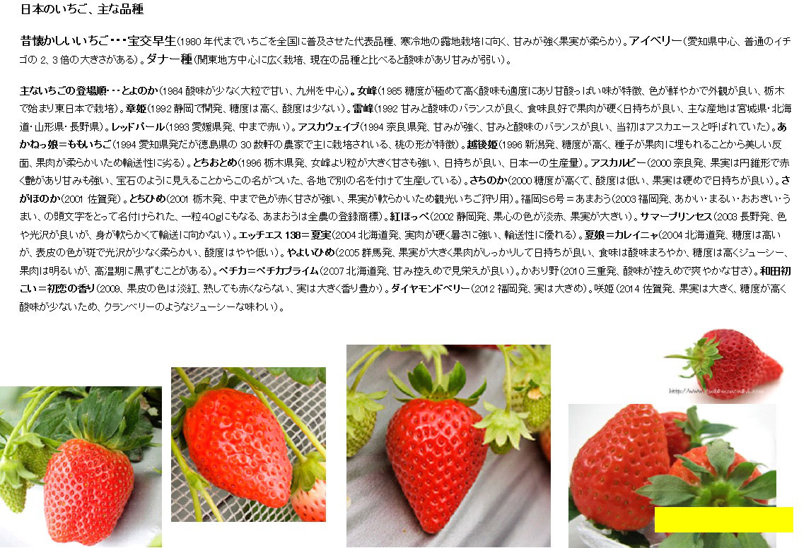 農業資材 いちごトレー アイベリーソフト 積水化成品工業