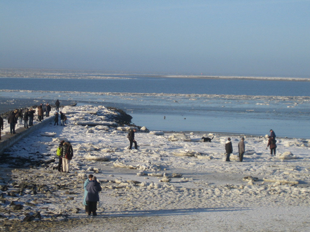 Die Insel Fewo Borkum Berents Webseite