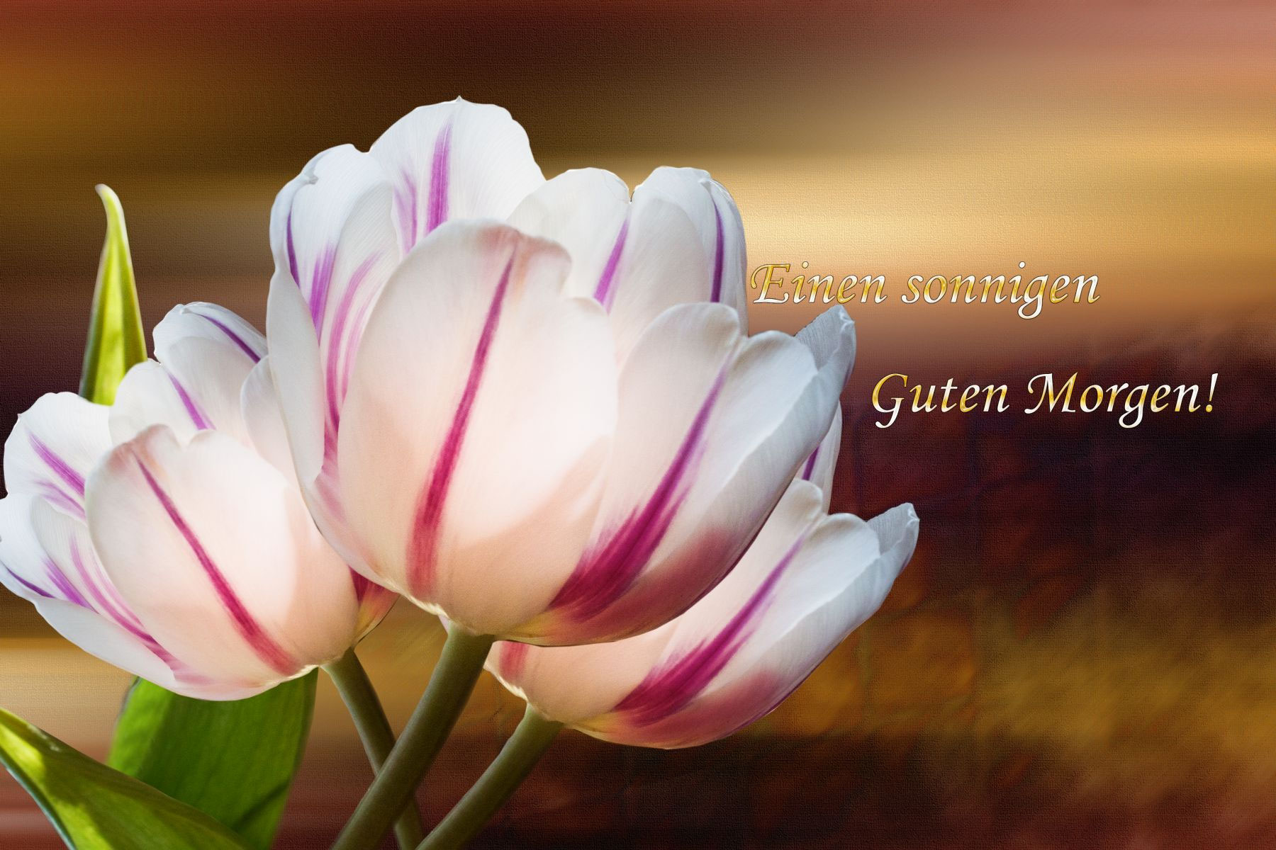 Grukarten Guten Morgen