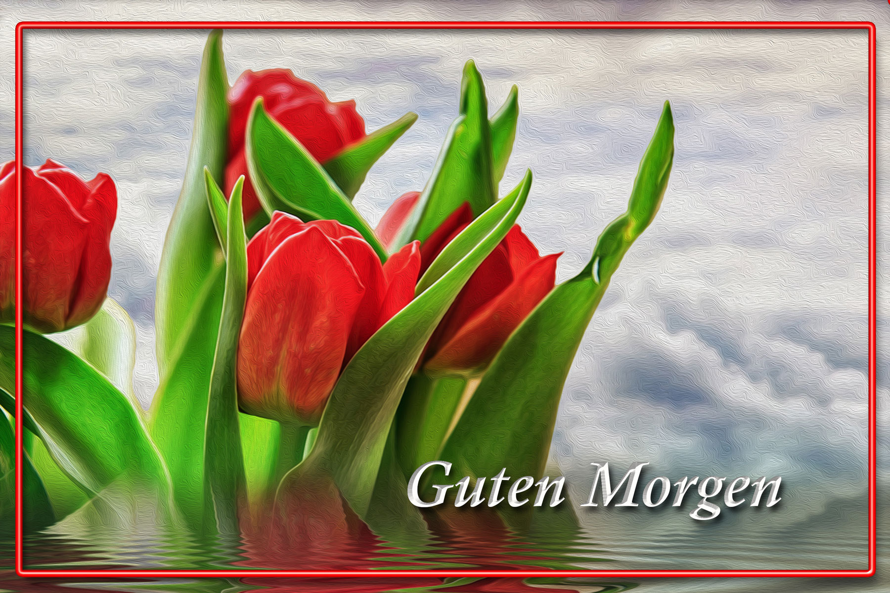 Guten Morgen Grusskarten