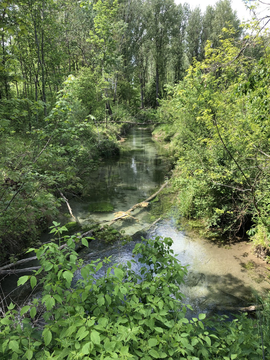 Alte Fladnitz