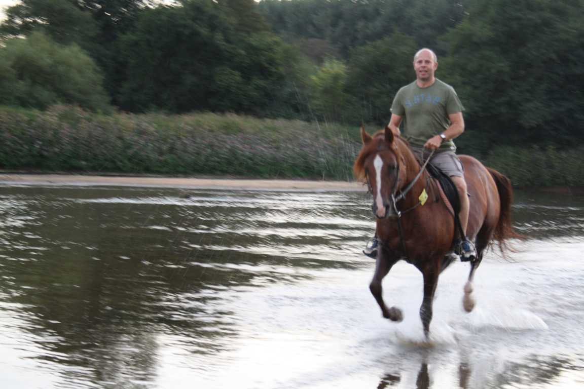 22 August 2014 Gesunde Freiatmende Agile Altdeutsche Mopse Und Franzosische Bulldoggen Finden Sie In Der Vorbildlichen Zucht Vom Kahlen Asten Im Munsterland Nrw