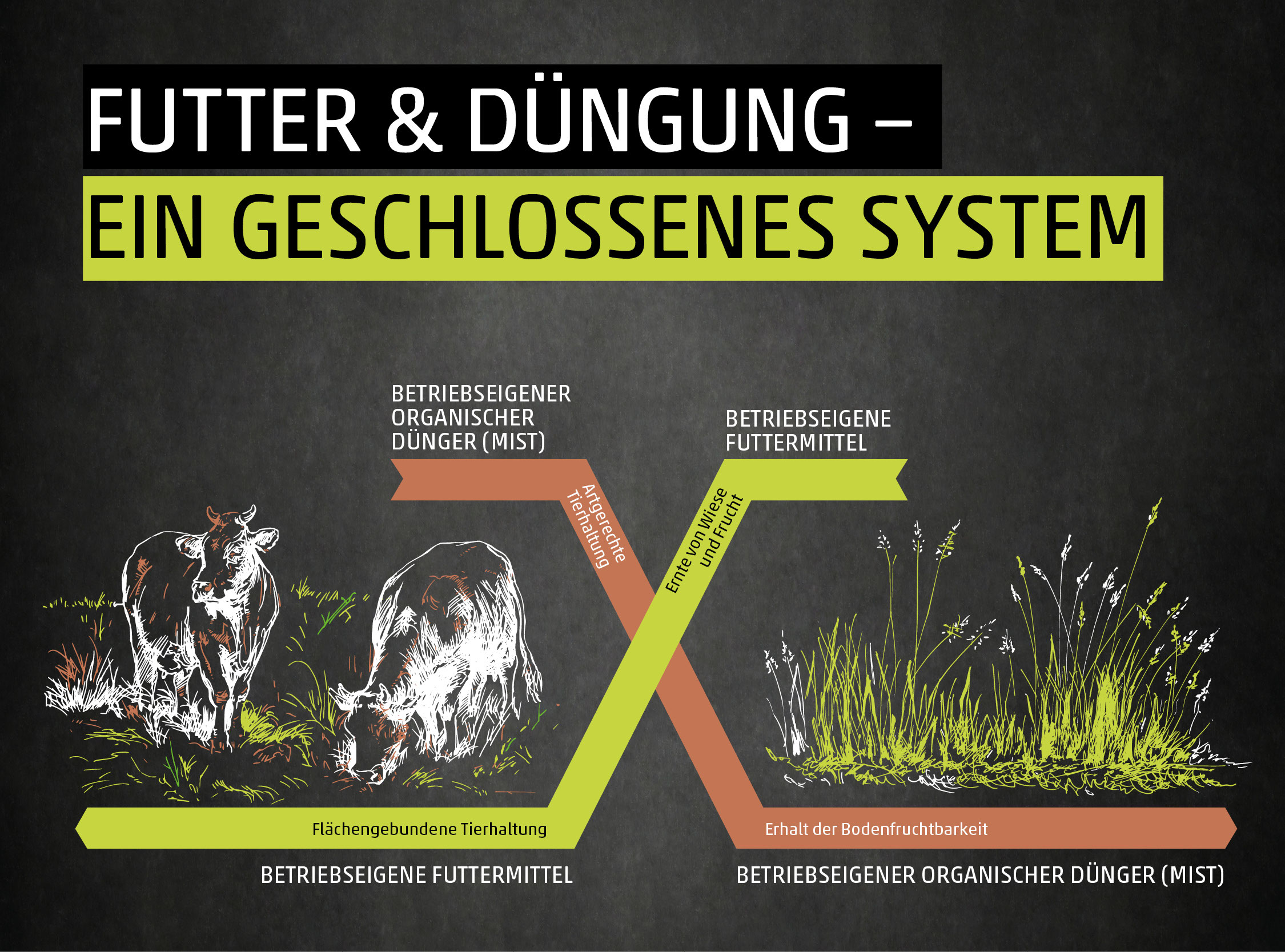 Ökologische Landwirtschaft - Domäne Homburger Hof