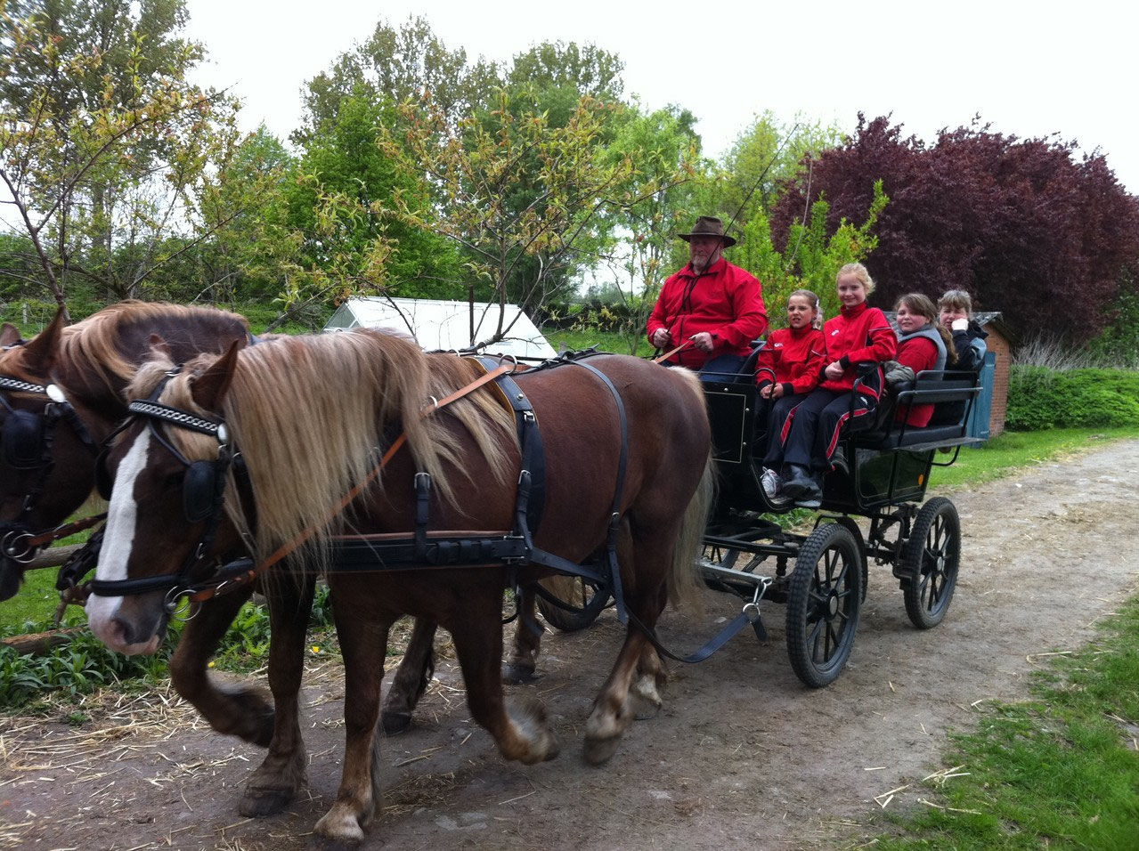 Hochzeitskutschen Mieten In Hamburg Und Umgebung