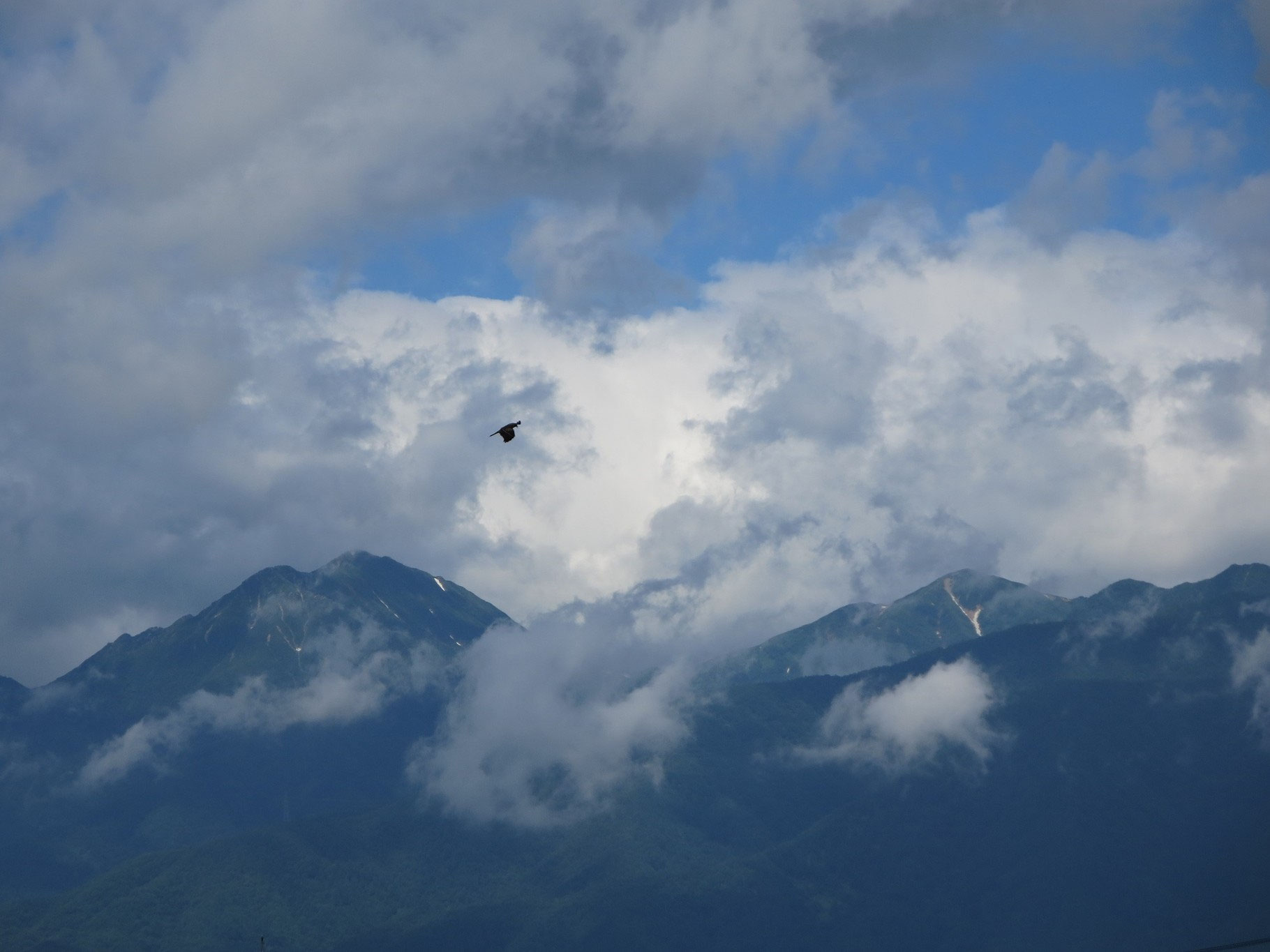 Redstone 冒険コイン 銀行に預けられない (60) 사진