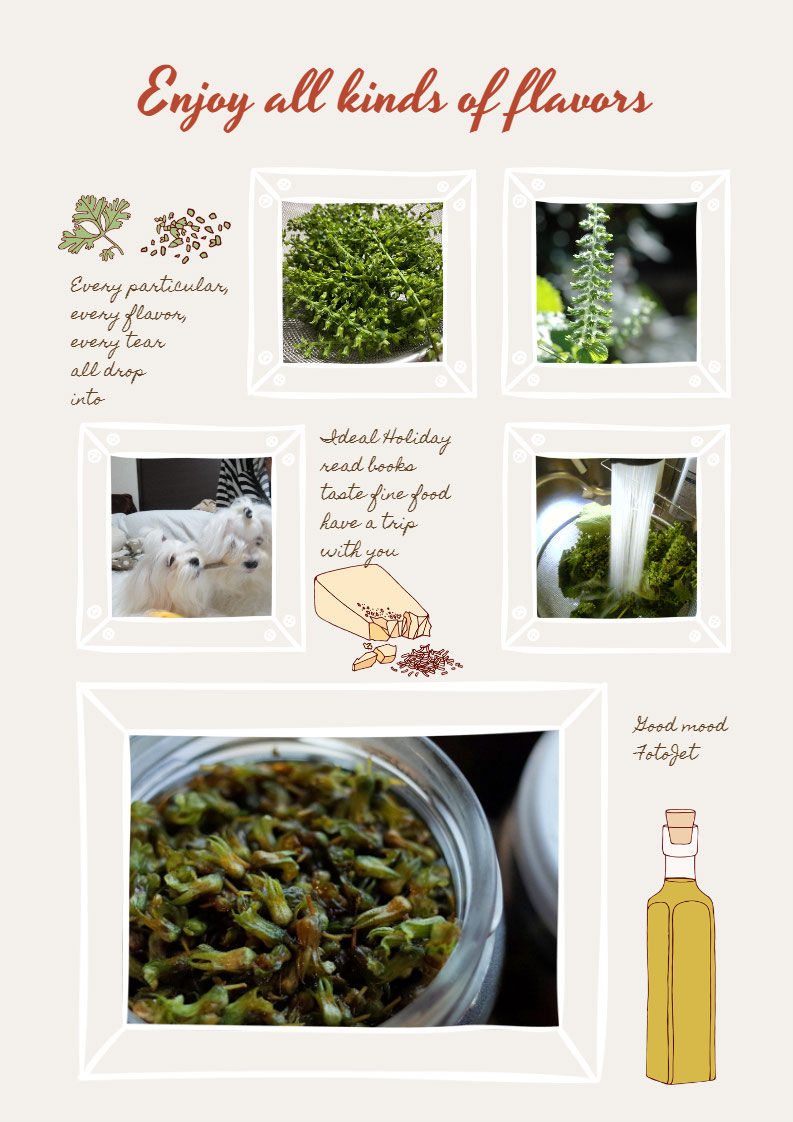 シソ 大葉 の実 醤油漬け シソを英語で ワーホリ 留学 J1 シニア アロマ ハーブのas Pea Support