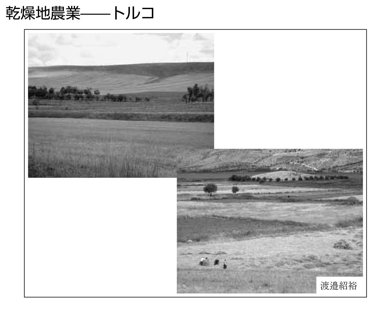 沙漠の事典 6 乾燥地での産業 Jaals S Jimdopage 沙漠の事典 6 乾燥地での産業 Jaals S Jimdopage