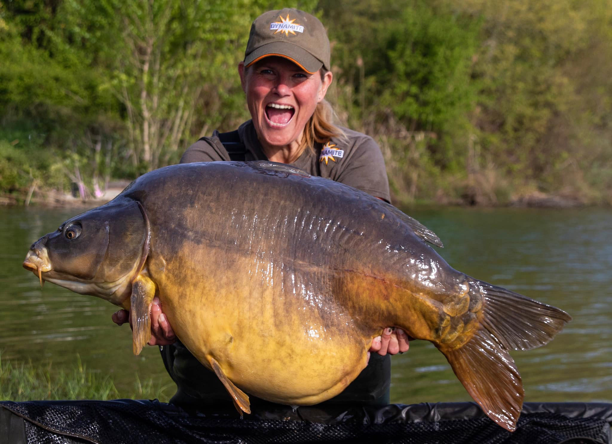 Pêche des carpes dans le privé - Pêche de la carpe - Iktus