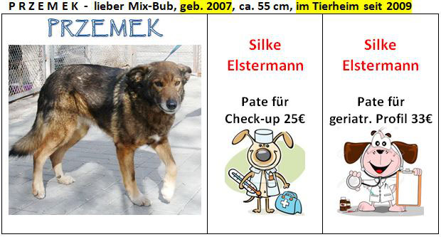 gesundheits checks fur unsere senioren s 1 von 2 tiernotfelle europa grenzenlos helfen