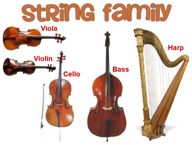 The instruments of an orchestra are divided into four main families