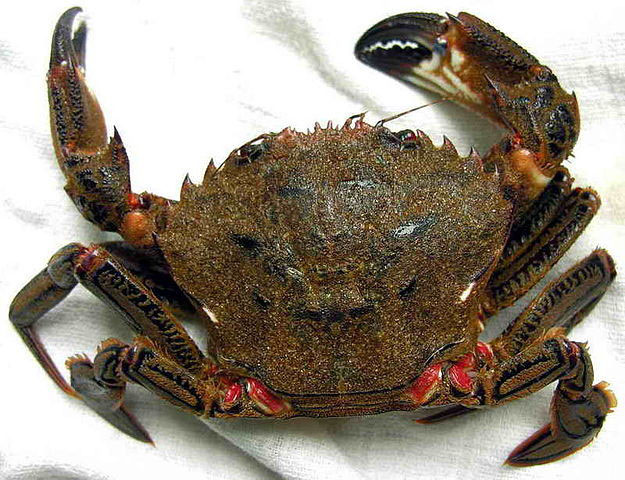 Le Panier De Saison Notre Cuisine Facile Le Panier De Saison Notre Cuisine Facile