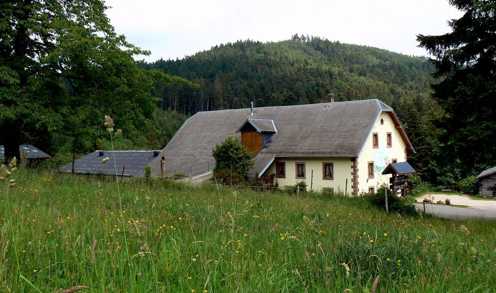 Gite De France En Alsace A Orbey Vacances A La Ferme Chez Marie Noelle