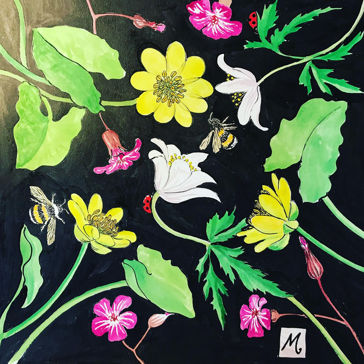 Spring Flowers Art Marie Therese King Wildlife Artist