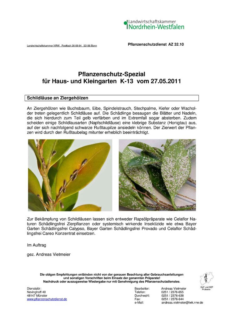 Schdlinge und Krankheiten an Zierpflanzen und Gehlzen - Kleingartenverein  Rmerstrae e.V.