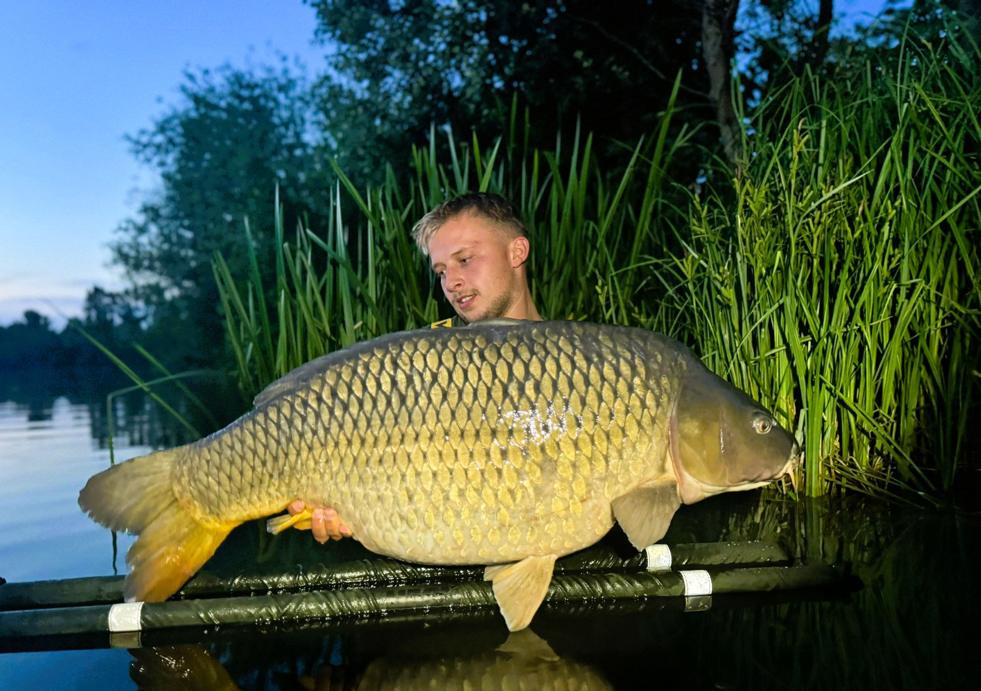 60+ Catch And Release Karpfen Teich, Unter fangen und freilassen